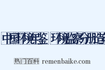 中国环境年鉴·环境监察分册造句是什么意思的图片